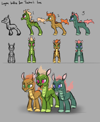 Size: 2400x2922 | Tagged: safe, artist:thescornfulreptilian, dragon, hybrid, longma, them's fightin' herds, bully, colt, community related, foal, gray background, male, reference sheet, simple background