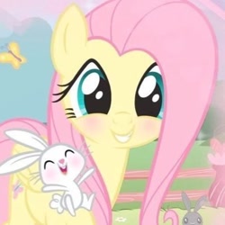 Size: 400x400 | Tagged: safe, edit, screencap, angel bunny, fluttershy, pegasus, pony, rabbit, g4, :d, angelbetes, animal, blushing, cute, daaaaaaaaaaaw, female, grin, half body, happy, icon, looking at you, mare, open mouth, open smile, shyabetes, smiling, smiling at you, solo, wholesome