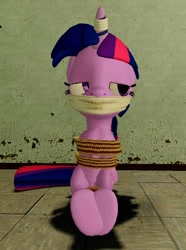 Size: 572x768 | Tagged: safe, twilight sparkle, pony, unicorn, g4, 3d, bondage, bound and gagged, cloth gag, female, gag, horn, mare, rope, rope bondage, solo, unicorn twilight