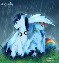 Size: 1240x1320 | Tagged: safe, artist:liliart1211, rainbow dash, soarin', pegasus, pony, g4, cute, digital art, digital drawing, digital painting, duo, duo male and female, female, looking at each other, looking at someone, love, lovely, male, rain, ship:soarindash, shipping, smiling, smiling at each other, straight