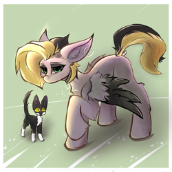 Size: 3600x3600 | Tagged: safe, artist:gooseshit, oc, oc only, oc:tlen borowski, cat, pegasus, pony, chest fluff, collar, ear piercing, female, mare, partially open wings, passepartout, piercing, raised hoof, solo, standing, wings