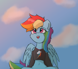 Size: 1700x1500 | Tagged: safe, artist:hcl, rainbow dash, pegasus, pony, g4, belly, belly button, cheek fluff, clothes, cloud, female, mare, open mouth, sky, solo