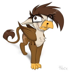 Size: 1214x1239 | Tagged: safe, artist:fenixdust, oc, oc:darien platecrête, griffon, crying, eye clipping through hair, griffon oc, simple background, white background