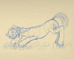 Size: 1044x834 | Tagged: safe, artist:kujivunia, oc, oc only, oc:gerezia secundo, unicorn, broken horn, concave belly, face down ass up, female, grass, grazing, herbivore, horn, horses doing horse things, lidded eyes, mare, simple background, sketch, solo, traditional art