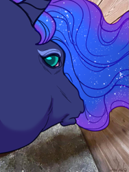 Size: 681x908 | Tagged: safe, artist:snowberry, princess luna, alicorn, horse, g4, female, funny, hoers, irl, irl horse, luna is not amused, mare, meme, photo, ponified animal photo, real life background, solo, unamused