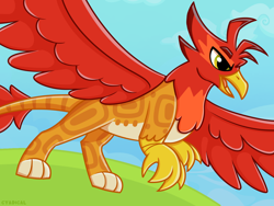 Size: 1460x1100 | Tagged: safe, artist:cyadical, oc, oc only, oc:hotrod(griffon), griffon, beak, digital art, feathered wings, griffon oc, quadrupedal, red feathers, running, sky, solo, spread wings, wings