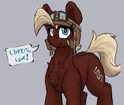 Size: 927x785 | Tagged: safe, artist:reddthebat, oc, oc only, oc:saint propwood, earth pony, pony, aviator goggles, aviator hat, butt freckles, chest fluff, dialogue, female, freckles, goggles, goggles on head, gray background, hat, hock fluff, mare, shoulder freckles, simple background, solo, speech bubble, talking to viewer