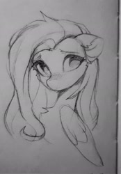 Size: 1429x2048 | Tagged: safe, artist:vensual99, fluttershy, pegasus, pony, g4, black and white, blushing, bust, chest fluff, female, grayscale, mare, monochrome, sketch, solo, traditional art