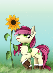 Size: 1372x1869 | Tagged: safe, artist:andaluce, roseluck, earth pony, pony, g4, boots, clothes, female, flower, mare, scarf, shoes, solo, striped scarf, sunflower