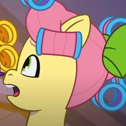 Size: 841x844 | Tagged: safe, screencap, posey bloom, earth pony, pony, g5, my little pony: tell your tale, sleepover!!, spoiler:g5, spoiler:my little pony: tell your tale, spoiler:tyts02e18, cropped, female, hair curlers, mare, solo