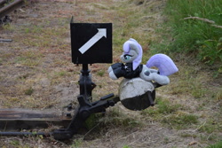 Size: 6000x4000 | Tagged: safe, maud pie, g4, irl, photo, plushie, train station