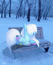 Size: 2402x2943 | Tagged: safe, artist:amarantastar, oc, oc only, oc:fluff snowflake, pegasus, pony, bench, female, hair over eyes, irl, lying down, mare, park, park bench, photo, ponies in real life, prone, snow, unshorn fetlocks, winter