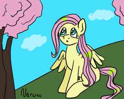 Size: 1241x1000 | Tagged: safe, artist:wrath-marionphauna, fluttershy, pegasus, g4, :o, cherry blossoms, cloud, flower, flower blossom, open mouth, solo