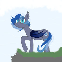 Size: 2048x2048 | Tagged: safe, artist:_luckyy, oc, oc only, oc:nightdawn, bat pony, bat pony oc, bat wings, blue eyes, blue mane, blue wings, looking at you, simple background, smiling