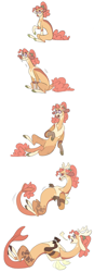 Size: 1200x3444 | Tagged: safe, artist:baylard, oc, oc only, oc:mascarpone pie, draconequus, earth pony, pony, breath, bucktooth, disguised draconequus, draconequus oc, female, glasses, high res, lying down, mare, offspring, on back, parent:cheese sandwich, parent:pinkie pie, parents:cheesepie, pony to draconequus, round glasses, simple background, sitting, solo, sweat, sweatdrop, transformation, transformation sequence, white background