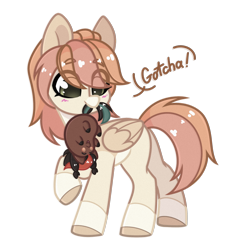 Size: 1880x1977 | Tagged: safe, artist:lazycloud, oc, oc only, pegasus, pony, chubbie, mouth hold, simple background, solo, transparent background