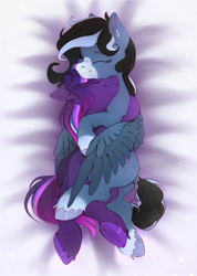 Size: 1357x1911 | Tagged: safe, artist:itssim, oc, oc only, oc:arabella nox, oc:aurora sparkle, pegasus, pony, commission, cuddling, dock, duo, duo female, ear fluff, eyes closed, female, leg fluff, lying down, mare, on side, pegasus oc, smiling, spread wings, tail, unshorn fetlocks, wings