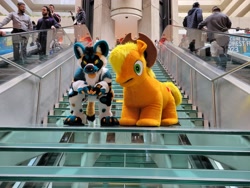 Size: 4032x3024 | Tagged: safe, artist:wildransom, applejack, earth pony, human, g4, duo, furry, fursuit, indoors, irl, irl human, photo, ponysuit, quadsuit, spookyjack, stairs