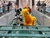 Size: 4032x3024 | Tagged: safe, artist:wildransom, applejack, earth pony, human, g4, duo, furry, fursuit, indoors, irl, irl human, photo, ponysuit, quadsuit, spookyjack, stairs