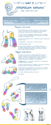 Size: 1000x2445 | Tagged: safe, artist:eto ya, earth pony, pony, anatomy, bone, comic, cyrillic, food, halo, male, pear, russian, solo, stallion, tutorial