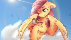 Size: 2578x1450 | Tagged: safe, artist:divori, fluttershy, bird, pegasus, pony, sparrow, g4, cheek fluff, chest fluff, cloud, crepuscular rays, cute, day, ear fluff, eyelashes, featured image, female, floppy ears, fluffy, leg fluff, lidded eyes, mare, no pupils, one eye closed, outdoors, partially open wings, rainbow, raised hoof, shoulder fluff, shyabetes, sitting, sky, sky background, smiling, solo, sun, three quarter view, wing fluff, wings, wink