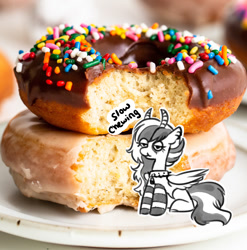 Size: 1087x1101 | Tagged: safe, artist:opalacorn, oc, oc only, pegasus, pony, clothes, descriptive noise, donut, eating, female, food, herbivore, horns, irl, lidded eyes, mare, micro, photo, ponies in food, ponies in real life, sitting, socks, solo, striped socks, tiny, tiny ponies