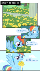 Size: 1080x1920 | Tagged: safe, artist:broken colors, rainbow dash, pegasus, pony, g4, chinese, female, flower, mare, solo