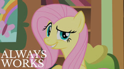 Size: 1280x720 | Tagged: safe, edit, edited screencap, editor:quoterific, screencap, fluttershy, pegasus, pony, a bird in the hoof, g4, season 1, always works, breaking the fourth wall, dreamworks face, female, fluttershy's cottage, fluttershy's cottage (interior), looking at you, mare, solo