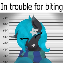 Size: 1200x1200 | Tagged: safe, artist:higherarch, oc, oc only, oc:lucia, bat pony, pony, blushing, chest fluff, clothes, ear fluff, eyes closed, eyeshadow, flower, flower in hair, jail, line-up, looking at you, makeup, meme, neck fluff, scarf, size chart, size comparison, smiling, smiling at you, socks, solo, striped scarf, teeth, text