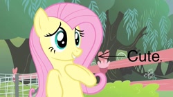 Size: 800x450 | Tagged: safe, edit, edited screencap, screencap, fluttershy, pegasus, pony, filli vanilli, g4, season 4, caption arrow, cute, female, mare, shyabetes, solo, text, tree, truth