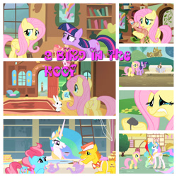 Size: 1280x1280 | Tagged: safe, artist:xxxkayceejrxxx, edit, edited screencap, screencap, angel bunny, carrot cake, cup cake, fluttershy, philomena, princess celestia, twilight sparkle, alicorn, pegasus, phoenix, pony, rabbit, unicorn, a bird in the hoof, g4, season 1, animal, bench, crying, female, fluttershy's cottage, fluttershy's cottage (interior), male, mare, newspaper, stallion, sugarcube corner, unicorn twilight