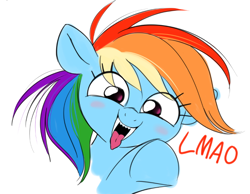 Size: 716x555 | Tagged: safe, artist:coinpo, rainbow dash, pegasus, pony, g4, fangs, laughing, lmao, looking at you, mocking, pointing, pointing at you, reaction image, simple background, smiling, smiling at you, solo, tongue out, white background