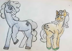 Size: 1878x1334 | Tagged: safe, artist:midday sun, oc, oc only, oc:gentle shadow, oc:lucky card, earth pony, pony, traditional art