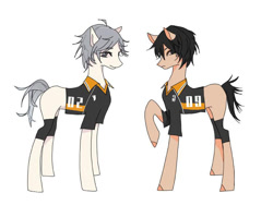 Size: 750x563 | Tagged: source needed, safe, artist:qiyuesongguo, earth pony, pony, anime, duo, haikyuu, kōshi sugawara, ponified, simple background, tobio kageyama, white background