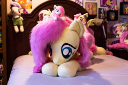 Size: 2500x1667 | Tagged: safe, artist:natureshy, artist:qtpony, fluttershy, bat pony, pony, g4, bat ponified, flutterbat, irl, multeity, photo, plushie, race swap