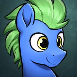 Size: 2048x2048 | Tagged: safe, artist:selenophile, oc, oc only, oc:still shuffle, earth pony, pony, bust, male, portrait, signature, smiling, solo, stallion