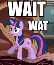 Size: 434x518 | Tagged: safe, edit, edited screencap, screencap, twilight sparkle, pony, unicorn, feeling pinkie keen, g4, season 1, caption, cropped, female, full body, golden oaks library, horn, image macro, mare, reaction image, roflbot, solo, text, twilight's lab, unicorn twilight, wait what, watermark