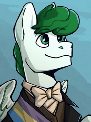 Size: 1040x1400 | Tagged: safe, artist:bunnyshrubby, oc, oc only, oc:mintfeather, pegasus, pony, equestria at war mod, bust, clothes, portrait, sash, solo, wings