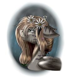 Size: 2160x2400 | Tagged: safe, artist:crazyaniknowit, oc, oc only, oc:spring rain, zebra, zebrasus, bust, female, flower, flower in hair, portrait, simple background, solo, transparent background