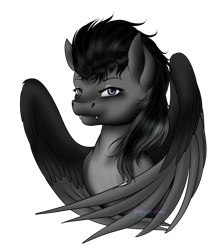 Size: 2214x2472 | Tagged: safe, artist:crazyaniknowit, oc, oc only, oc:traveler, pegasus, pony, bust, fangs, female, mare, portrait, simple background, solo, transparent background