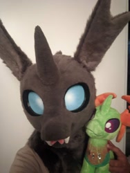 Size: 960x1280 | Tagged: safe, artist:azuritecoin, thorax, changedling, changeling, g4, bust, fursuit, hug, irl, king thorax, photo, plushie, ponysuit, portrait