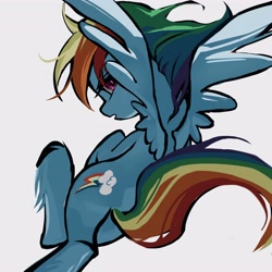 Size: 4096x4096 | Tagged: safe, artist:qianhe498, rainbow dash, pegasus, pony, g4, butt, female, hoof fluff, looking back, mare, plot, simple background, solo, spread wings, unshorn fetlocks, white background, wings