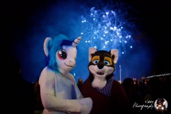 Size: 1280x853 | Tagged: safe, artist:atalonthedeer, artist:vokka, dj pon-3, vinyl scratch, g4, clothes, cosplay, costume, duo, fireworks, furry, fursuit, irl, night, photo, ponysuit