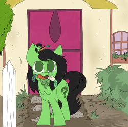 Size: 3178x3152 | Tagged: safe, artist:ponny, oc, oc only, oc:filly anon, earth pony, pony, bush, cabbage, carrot, colored, duo, female, fence, filly, foal, food, full mouth, herbivore, hut, meep, size difference, smol, tiny, tiny ponies, vegetables, window