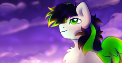 Size: 4200x2200 | Tagged: safe, artist:mariashek, oc, oc only, pegasus, pony, bust, male, oc pegasus, portrait, solo, stallion, sunset