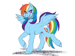 Size: 1400x1050 | Tagged: safe, artist:shessy-lai, rainbow dash, pegasus, pony, g4, looking at you, open mouth, simple background, solo, white background