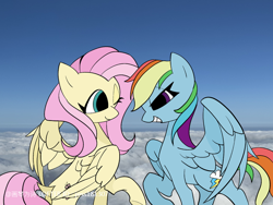 Size: 750x563 | Tagged: safe, artist:jess181307, fluttershy, rainbow dash, pegasus, pony, g4, cloud, duo, duo female, female, irl, photo, sky, sky background