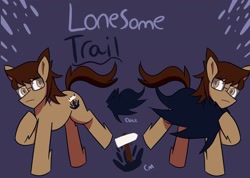 Size: 2048x1462 | Tagged: safe, artist:shon351, oc, oc only, oc:lonesome trail, earth pony, pony, cloak, clothes, cutie mark, glasses, male, reference sheet, solo