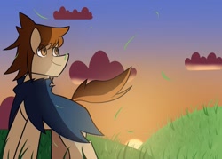 Size: 2048x1469 | Tagged: safe, artist:shon351, oc, oc only, oc:lonesome trail, earth pony, pony, cel shading, cloak, clothes, cloud, grass, hill, shading, smiling, solo, sunset