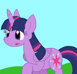 Size: 877x843 | Tagged: safe, artist:cmara, twilight sparkle, alicorn, g4, female, solo, twilight sparkle (alicorn)